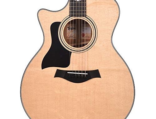Taylor Guitars 314ce V-Class Grand Auditorium Acoustic-Electric Guitar