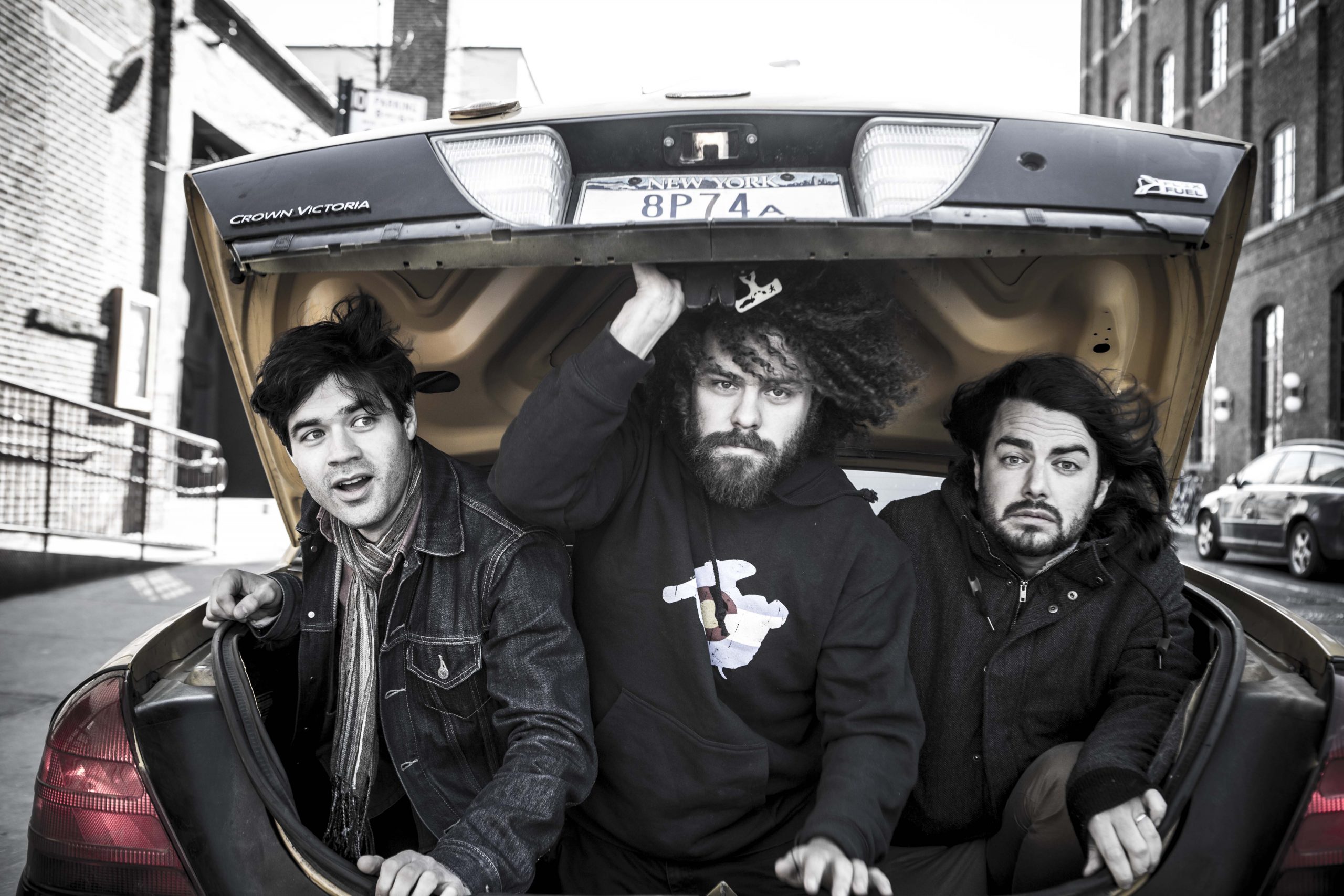 Press photo of Elephant Wrecking Ball in trunk