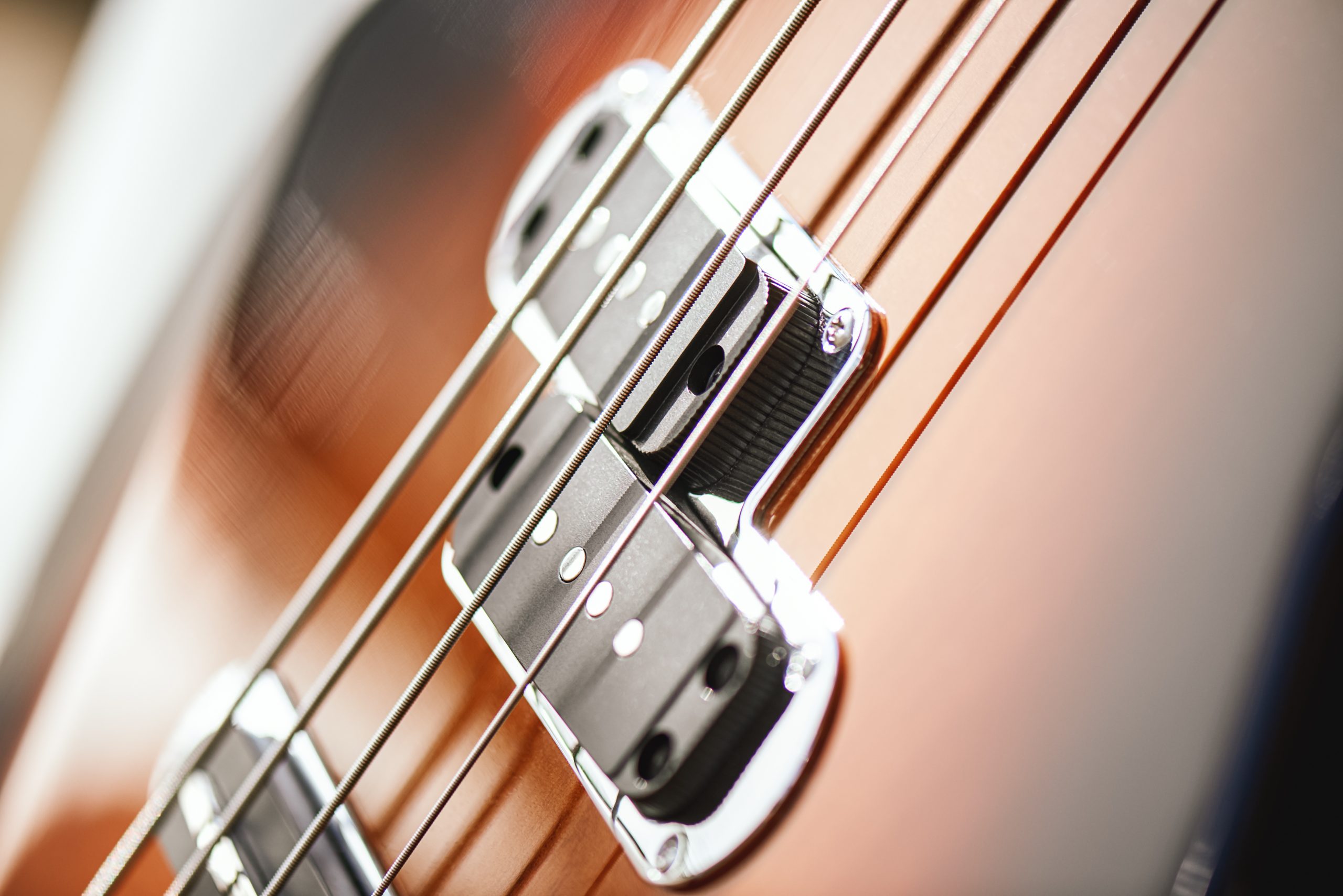 closeup of guitar pickups with strings