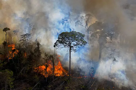 Man-Made Environmental Disasters