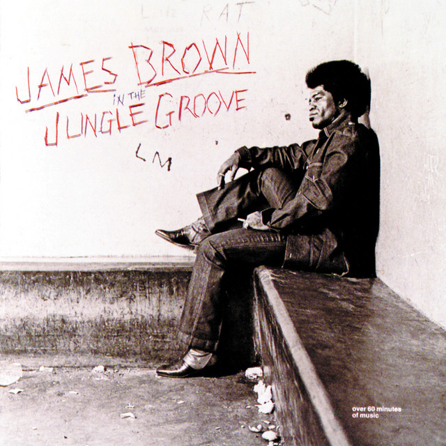 Funky Drummer (James Brown)