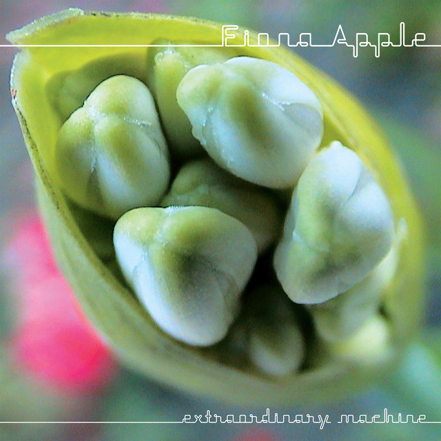 Fiona Apple – Extraordinary Machine