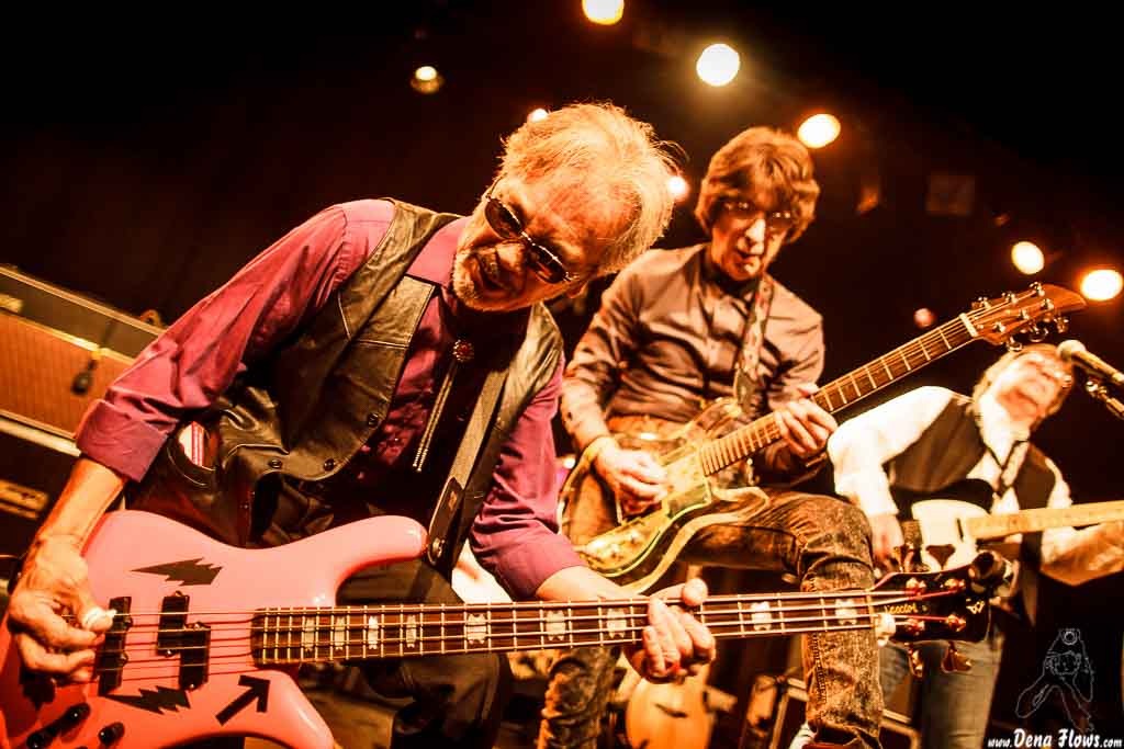 Flamin Groovies